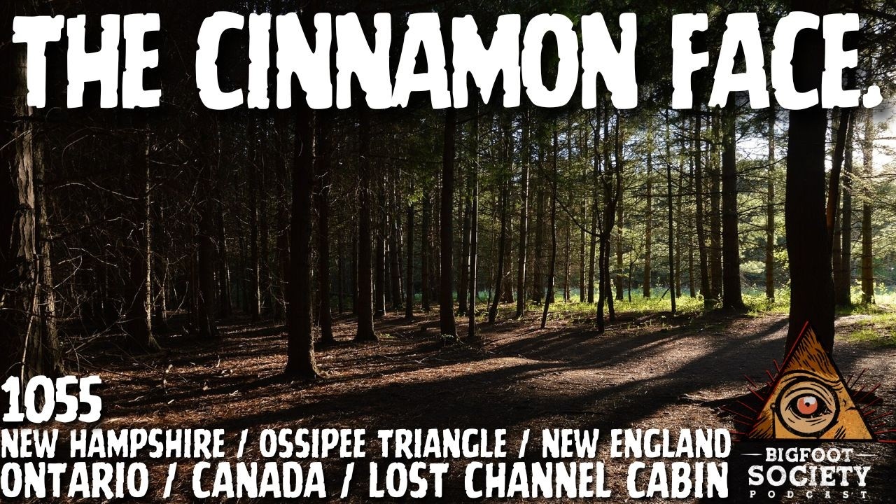 New Hampshire Hunter Finds 17-Inch Tracks | Ontario Witness Reports Cabin Encounter
