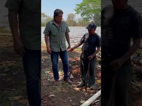 Mechito el nuevo Patrón de la finca