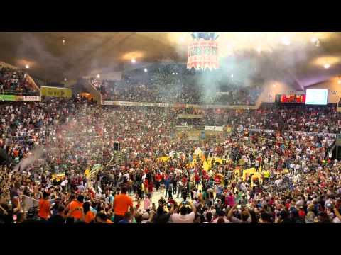 Leones de Ponce campeones!!!