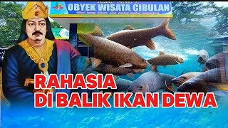 Download lagu Menelisik Ikan Dewa Jelmaan Prajurit mp3