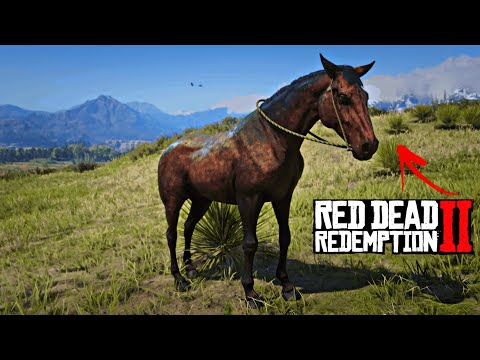RDR2 - You'll Never Ride All Horses If You Ride This Great Horse :9