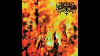 Necrophobic - Into Armageddon