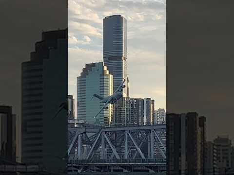 C-17 BRISBANE city river fire!!!