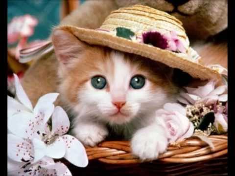 Happy birthday Ariadni.....