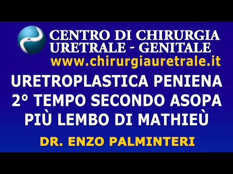 Cosa succede se un agente patogeno cavallo ragazza Lagente eziologico del effetto sulle donne