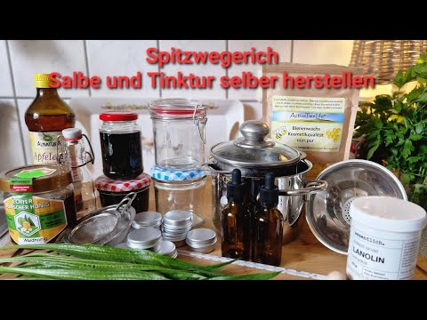 Spitzwegerich Salbe und Tinktur herstellen- Juckreiz adé!