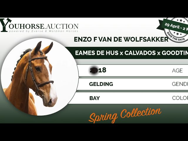 Enzo F van de Wolfsakker