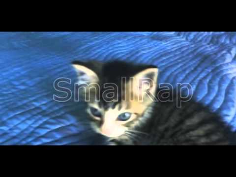 EMZINK VS SUDSAKON [SmallRap Vol.2]