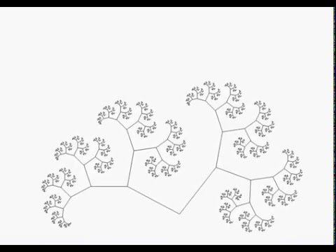 Brain fractal growth