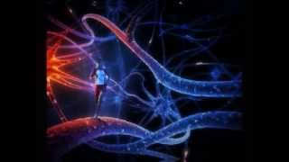 whomadewho -  running man