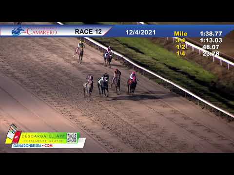 COPA CONFRATERNIDAD DEL CARIBE 2021 - 04/DICIEMBRE/2021 (EL SANTO)