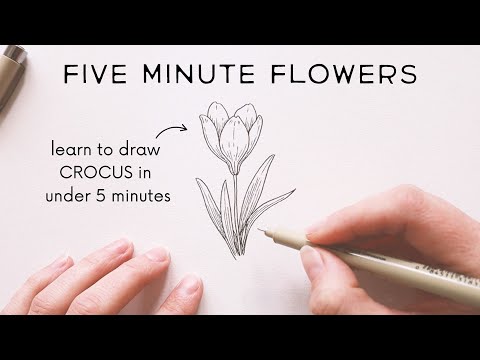 Five Minute Flowers: CROCUS ✿ learn to draw flowers in under five minutes!