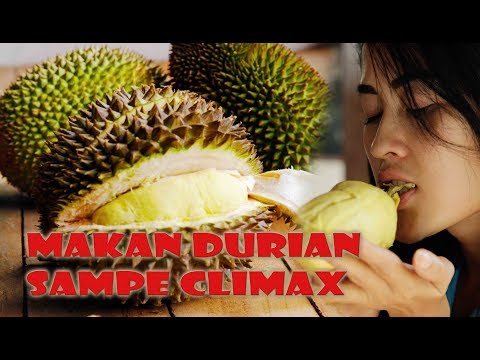 Download 93 Koleksi Gambar Durian Lucu Gokil Terbaru Gratis HD