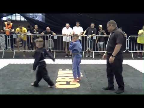 Vitórias - Nasci pra ser Leão!