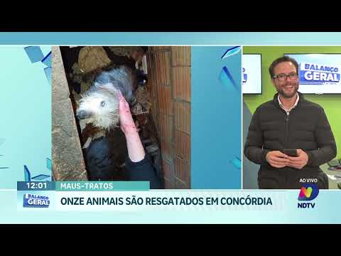 Onze animais são resgatados após denúncia de maus-tratos em Concórdia
