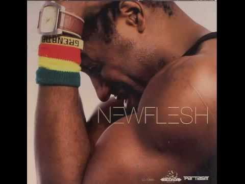 Trouble. NEW FLESH feat. LSK