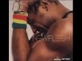Trouble. NEW FLESH feat. LSK