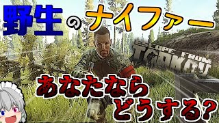 【EFT】あなたは倒しますか？それとも仲良くしますか？ part17【ゆっくり実況／Escape from tarkov】