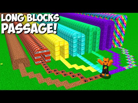 Minecraft's Secret Long Block Tunnels Revealed!