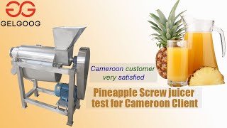 Pineapple juice extractor machine juice making machine factory price youtube video