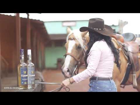 Tequila cuadra DE TEPA MI TEQUILA