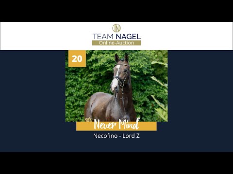 Katalog 20 - Wallach v. Necofino - Lord Z * 04.05.2019
