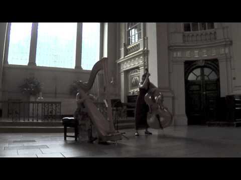 Arpeggione Sonata - Allegro Moderato - F.Schubert (The Girls in The Magnesium Dress)