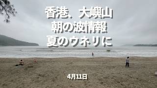 香港、ランタオ波状況