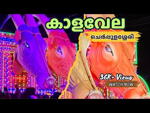 Cherpulassery Puthanalkkal Kalavela 2025 | Kalavela | Kala Vela | Pooram |