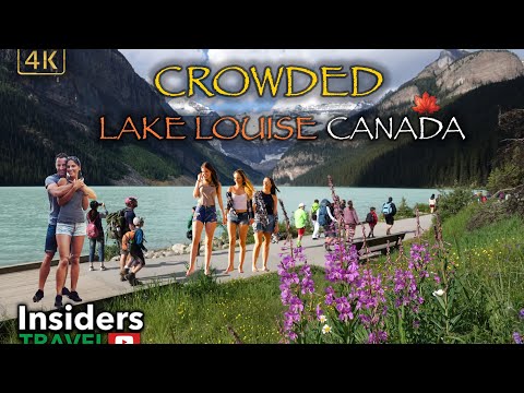 Canadá Alberta | Lake Louise | 4k | #lakelouise #banff #alberta #banffnationalpark #calgary