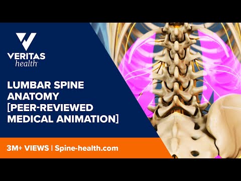 Lumbar Spine Anatomy [Peer-reviewed Medical Animation]