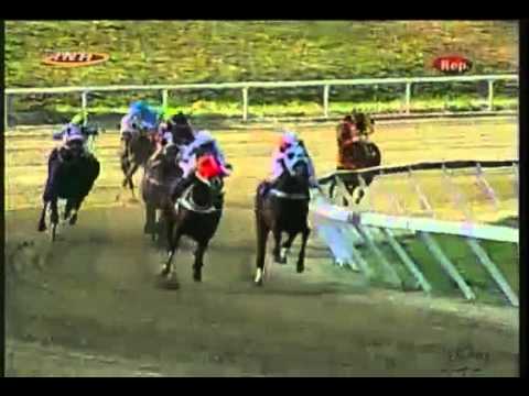 RESUMEN LA RINCONADA DOMINGO 01 FEBRERO 2015