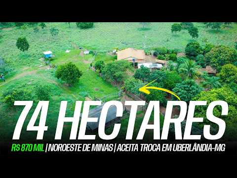 FAZENDINHA DE 74 HECTARES NO NOROESTE DE MINAS | R$ 870 MIL | ACEITA TROCA EM UBERLÂNDIA-MG