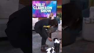 Keanu Reeves John Wick on Cute Puppies
