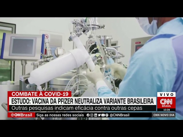 Vacina da Pfizer neutraliza variante brasileira em estudo de laboratório