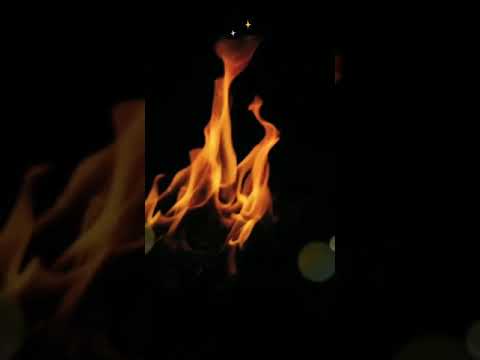 Trampoline - SHAED (Ft. Zayn) Status