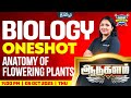 Anatomy Of Flowering Plants GIB ️ Class 11 CBSE Biology Xylem NEET Tamil