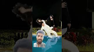 Пані Катерино (Pani Kateryno) Lyrics English Translation