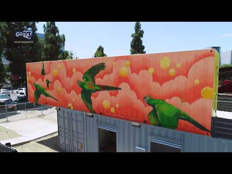 Parrot Mural at SteelCraft Garden Grove