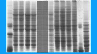 Download lagu 9A457619C6BD6AB5B7076407573B95#1 mp3