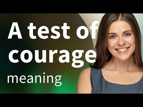 Testing Bravery: A Journey through "A Test of Courage"