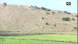 ΘΡΙΛΕΡ ΣΤΟΝ ΤΥΡΝΑΒΟ ΜΕ ΠΤΩΜΑ ΣΕ ΠΡΟΧΩΡΗΜΕΝΗ ΣΗΨΗ 17 02 2025