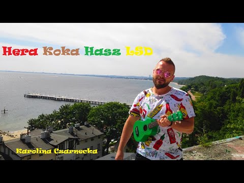 Hera Koka Hasz LSD ( ukulele cover )
