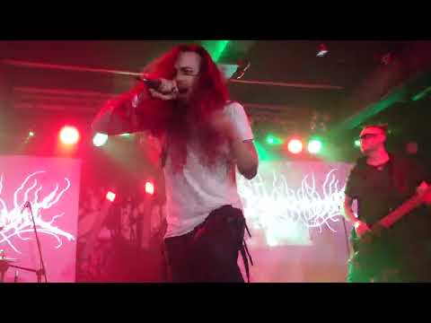 Biomechanimal live at Resistanz 2023