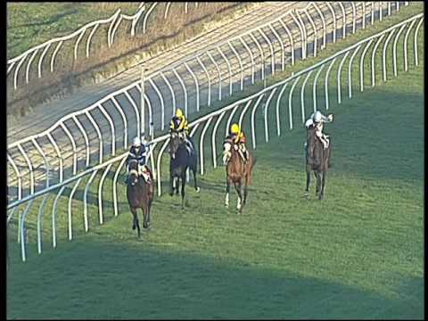 Galoppo 09/12/2016 - 1ª corsa