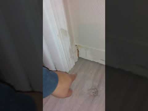 I'm too busy Jim......