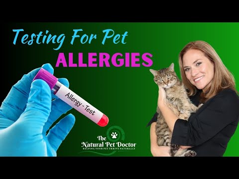 Cat and Dog Allergy Testing ( Blood vs Skin vs Food)