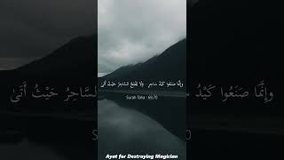 Download lagu Surah Taha 69 70 | سورة طه | Ayat for Destroying Magician #ruqyah #blackmagic mp3