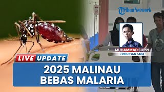 Berhasil Eliminasi Malaria, Malinau Sabet Sertifikat Kemenkes: Lawan Endemik di Tengah Rimba Borneo