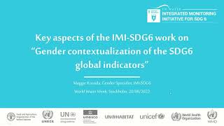 Promoting gender contextualization of the SDG 6 global indicators (french)